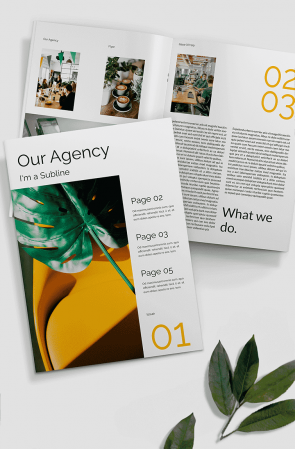 Agency Magazine