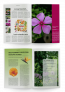 Template for garden magazine